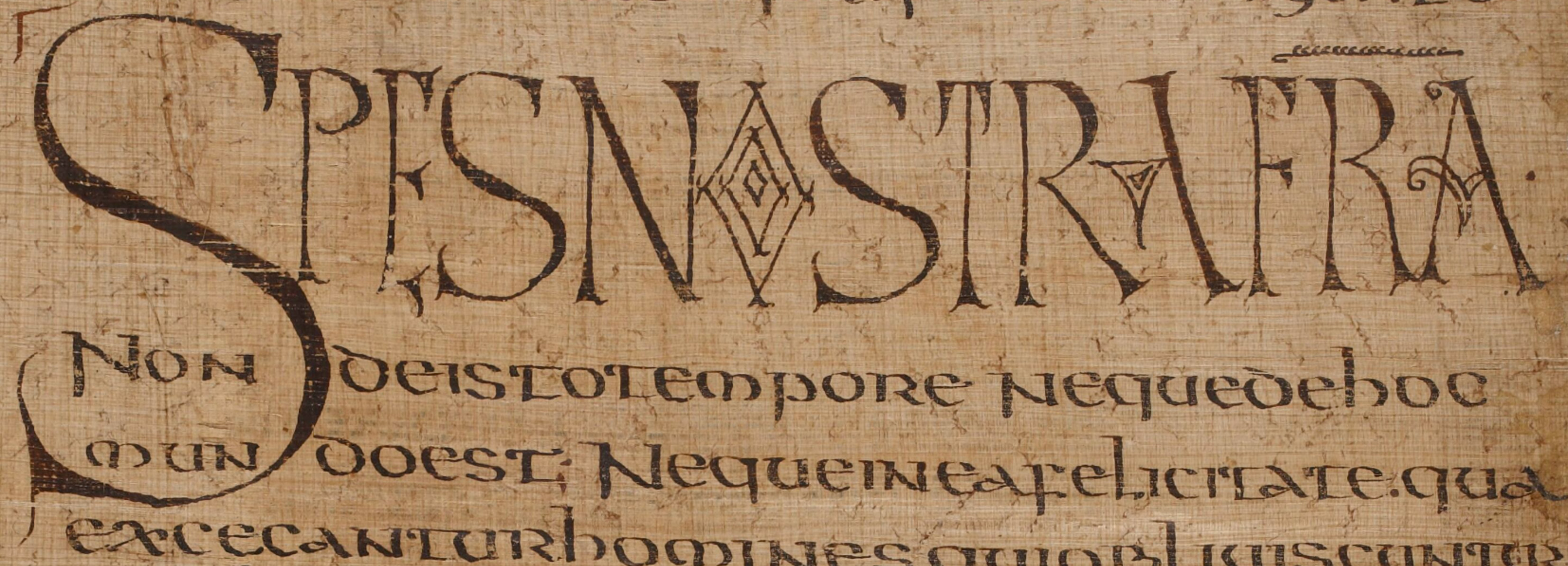 Papyrus Codices in 19th Century European Libraries – The Early History ...