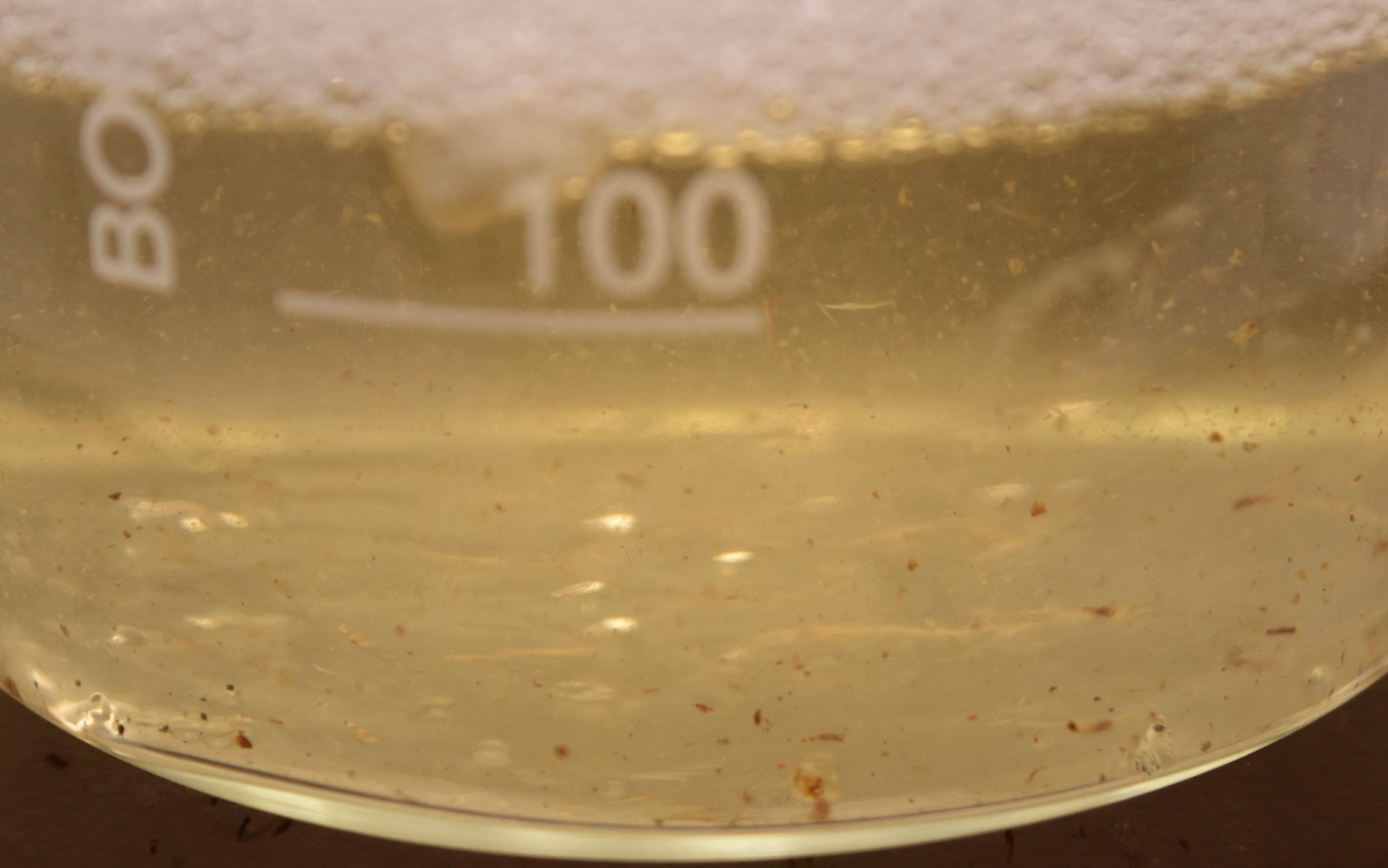 Glass container with gum arabic dissolved in water. The liquid is transparent yellow and small brown pieces are observable (impurities from the tree).